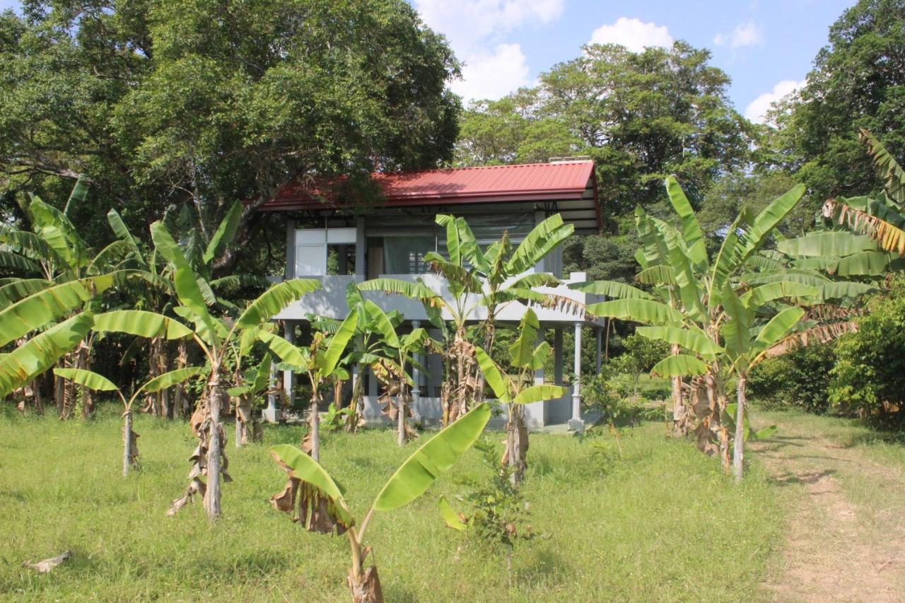 Forest Tree Top Holiday Resort Buttala Экстерьер фото
